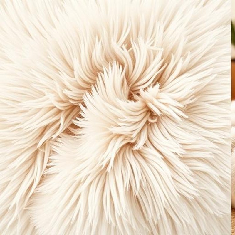 Calming Anti-Anxiety Ultra-Soft Donut Pet Bed - Detail view